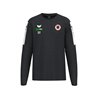 DSC Sweatshirt TRAINER