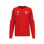 DSC Sweatshirt Kinder