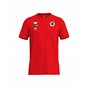 DSC T-Shirt Herren